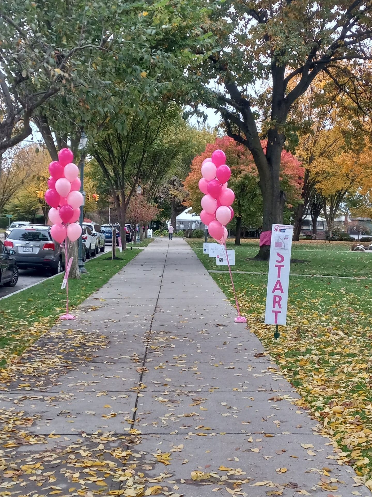 Breast Cancer Walk Bouquets