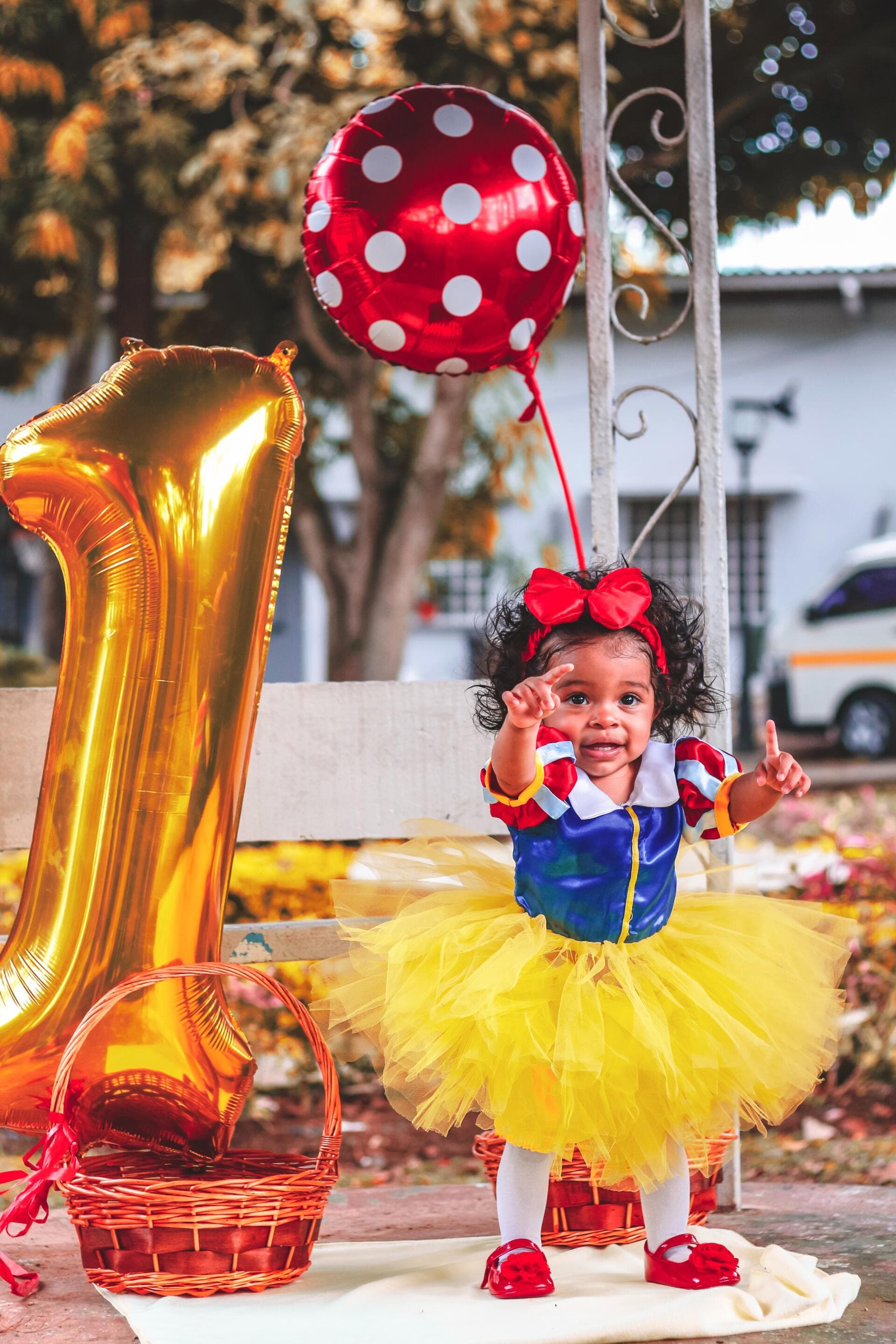 Snow White Baby First Birthday